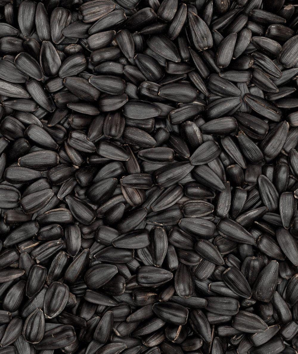 Black Seed Oil (150ml) image 1