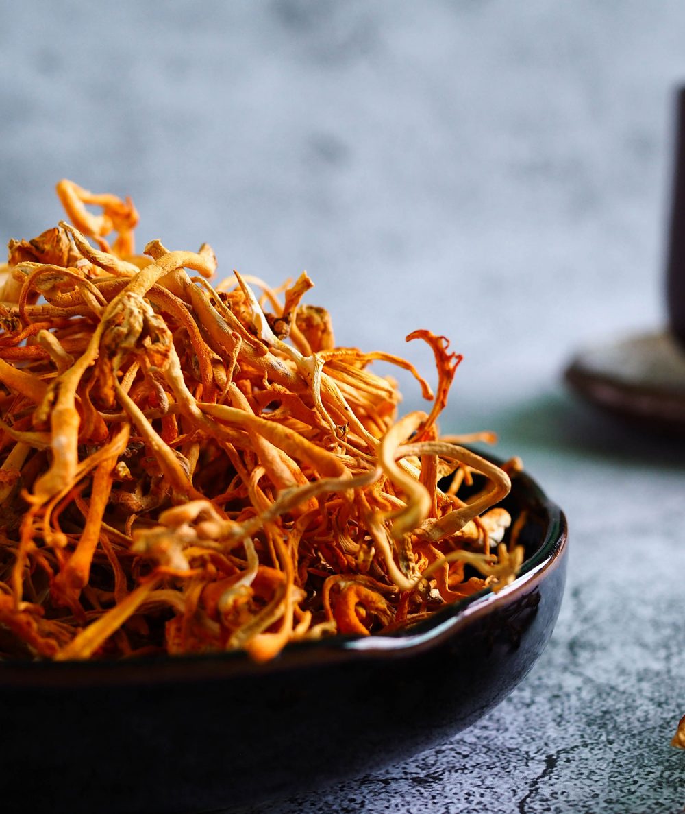 Cordyceps Liquid Extract